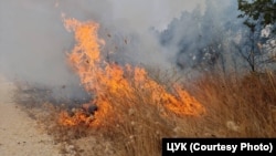 илустрација