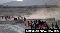 یو شمېر افغان زده کوونکي
