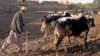 Charity Says Famine Possible In Afghanistan