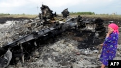 Жителька села Грабове стоїть серед уламків на місці падіння літака «Малайзійських авіаліній», 19 липня 2014 року