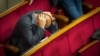 Верховна Рада оприлюднила закон про держбюджет на 2018 рік