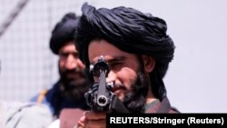 د طالبانو یو شمېر ځواکونه - ارشیف 