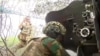 «Люди вірять, що ми будемо стояти. Поля засіяли». Розмова із артилеристами на Сумщині