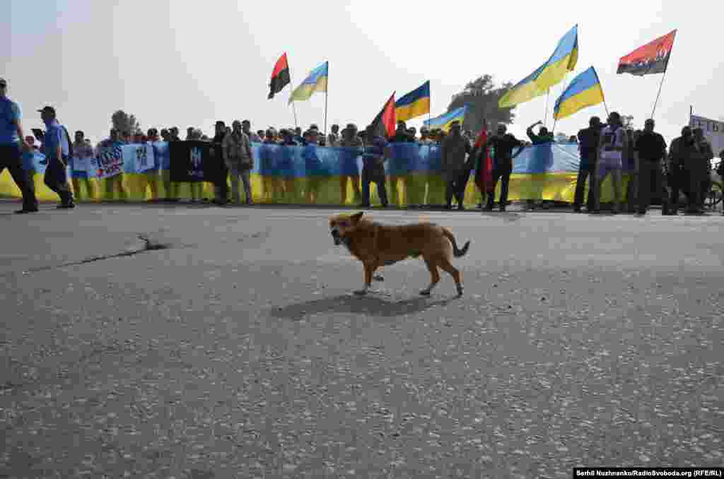 Активісти зустрічали хресну ходу з із синьо-жовтими та червоно-чорними прапорами 