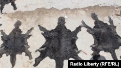 تېر کال افغانستان منځنۍ اسیا ته ۲۹۵۸۰ جلده د قرهقل پوستکي صادر کړل.