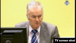 Ratko Mladić u sudnici 11. siječnja 2013.