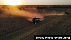 Žetva u regiji Rostov, Rusija, juli 2021.